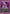 Oh-Etsu Nimaiya (UE01BT/BLC-1-058) - UE01BT BLEACH ThousandYear Blood War