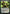 Vivien, Arkbow Ranger (Promo Pack) [Core Set 2020 Promos] - Magic: The Gathering - Card Brawlers | Quebec | Canada |