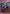 Pakunoda (UE02BT/HTR-1-041) - UE02BT HUNTER X HUNTER