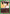 Wing (069) (UE02BT/HTR-1-069) - UE02BT HUNTER X HUNTER