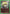 Kurapika (072) (UE02BT/HTR-1-072) - UE02BT HUNTER X HUNTER