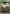Gon Freecss (076) (UE02BT/HTR-1-076) - UE02BT HUNTER X HUNTER