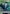 Leorio (092) (UE02BT/HTR-1-092) - UE02BT HUNTER X HUNTER Foil