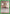 Exciting Multiple-Choice Quiz (UE02BT/HTR-1-098) - UE02BT HUNTER X HUNTER