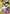 Action Point Card (AP01) (HUNTER X HUNTER) (UEPR/HTR-AP01) - Union Arena Promotion Cards