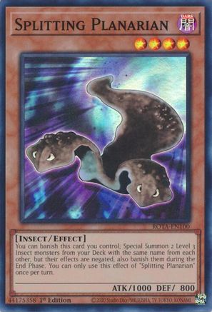Splitting Planarian [ROTA-EN100] Super Rare - Yu-Gi-Oh! - Card Brawlers | Quebec | Canada |