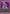 Oh-Etsu Nimaiya (UEPR/BLC-1-058) - UE01BT BLEACH ThousandYear Blood War Release Event Cards