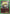 Kurapika (072) (UEPR/HTR-1-072) - UE02BT HUNTER X HUNTER Release Event Cards