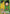 Gon Freecss (001) (R*) (UE02BT/HTR-P-001) - UE02BT HUNTER X HUNTER Foil