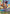 Kikunojo (Premium Card Collection -Best Selection Vol. 2-) (OP06-104) - One Piece Promotion Cards Foil