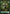 Elf Warrior Token [Duel Decks: Elves vs. Inventors Tokens] - Magic: The Gathering - Card Brawlers | Quebec | Canada |