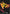 DON!! Card (Ace) - Premium Booster -The Best-
