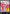 DON!! Card (Big Mom) - Premium Booster -The Best-