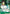 Lim (037) (Parallel) (OP09-037) - Emperors in the New World Foil