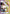 Nico Robin (062) (Parallel) (OP09-062) - Emperors in the New World Foil