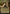 Secluded Courtyard (Borderless) [Bloomburrow Special Guests] - Magic: The Gathering - Card Brawlers | Quebec | Canada |