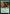 Glistener Elf (Phyrexian) [Secret Lair Drop Series] - Magic: The Gathering - Card Brawlers | Quebec | Canada |