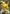 Pikachu EX (XY124) [XY: Black Star Promos] - Pokémon - Card Brawlers | Quebec | Canada |
