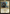 Narset, Jeskai Waymaster [Tarkir: Dragonstorm] - Magic: The Gathering - Card Brawlers | Quebec | Canada |