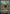 Rumor Gatherer (Promo Pack) [Streets of New Capenna] - Magic: The Gathering - Card Brawlers | Quebec | Canada |