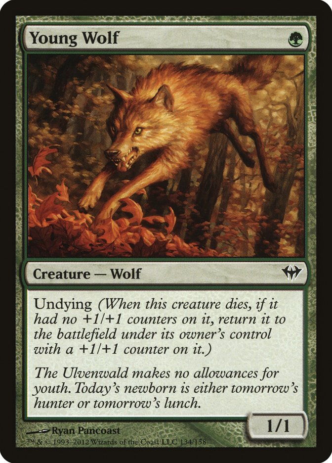 Young Wolf [Dark Ascension] - Magic: The Gathering - Card Brawlers | Quebec | Canada |