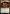 Banquet Guests [The Lord of the Rings: Tales of Middle-Earth Commander] - Magic: The Gathering - Card Brawlers | Quebec | Canada |