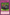 Supercharge (Green) [DL16-EN018] Rare - Yu-Gi-Oh! - Card Brawlers | Quebec | Canada |