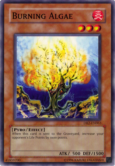 Burning Algae [DR2-EN063] Common - Yu-Gi-Oh! - Card Brawlers | Quebec | Canada |