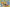 Empoleon BREAK (XY134) (Jumbo Card) [XY: Black Star Promos] - Pokémon - Card Brawlers | Quebec | Canada |