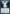 Diluvian Primordial [Secret Lair: From Cute to Brute] - Magic: The Gathering - Card Brawlers | Quebec | Canada |