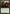 Somberwald Sage [Avacyn Restored] - Magic: The Gathering - Card Brawlers | Quebec | Canada |