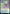 Windshaper Planetar [Commander Legends: Battle for Baldur's Gate Prerelease Promos] - Magic: The Gathering - Card Brawlers | Quebec | Canada |