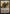 Ajani Goldmane [Lorwyn] - Magic: The Gathering - Card Brawlers | Quebec | Canada |