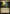 Thaumatic Compass // Spires of Orazca [Secret Lair: From Cute to Brute] - Magic: The Gathering - Card Brawlers | Quebec | Canada |