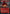 Red Dragon (Borderless Alternate Art) [Dungeons & Dragons: Adventures in the Forgotten Realms] - Magic: The Gathering - Card Brawlers | Quebec | Canada |