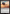Gilacorn [Avatar: The Last Airbender: Eternal-Legal] - Magic: The Gathering - Card Brawlers | Quebec | Canada |