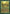 Elven Riders [Legends] - Magic: The Gathering - Card Brawlers | Quebec | Canada |