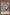Dark Magician Girl [SBC2-ENA13] Common - Yu-Gi-Oh! - Card Brawlers | Quebec | Canada |