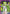 C.C. (007) (UE04BT/CGH-1-007) - UE04BT CODE GEASS Lelouch of the Rebellion Foil