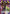 Gawain (UE04BT/CGH-1-022) - UE04BT CODE GEASS Lelouch of the Rebellion Foil