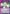 Reason for Living (UE04BT/CGH-1-028) - UE04BT CODE GEASS Lelouch of the Rebellion