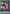 Cornelia li Britannia (039) (UE04BT/CGH-1-039) - UE04BT CODE GEASS Lelouch of the Rebellion Foil
