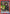Lelouch Lamperouge (092) (UE04BT/CGH-1-092) - UE04BT CODE GEASS Lelouch of the Rebellion Foil