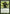 Moldervine Cloak [Ravnica: City of Guilds] - Magic: The Gathering - Card Brawlers | Quebec | Canada |