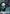 Toshiro Hitsugaya (084) (UEPR/BLC-1-084) - Union Arena Promotion Cards Foil