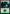 Forest (305) [Commander 2018] - Magic: The Gathering - Card Brawlers | Quebec | Canada |