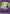 C.C. (005) (UEPR/CGH-1-005) - UE04BT CODE GEASS Lelouch of the Rebellion Release Event Cards