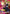 Nobara Kugisaki (043) (Winner) (UEPR/JJK-1-043) - Union Arena Promotion Cards Foil
