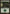 Forest (301) [Lorwyn] - Magic: The Gathering - Card Brawlers | Quebec | Canada |