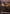 Wastes (704) (Extended Art) [Secret Lair Drop Promos] - Magic: The Gathering - Card Brawlers | Quebec | Canada |